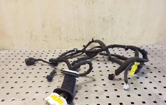 Opel Antara Front door wiring loom 95491036