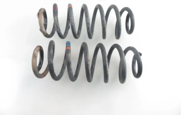 Rear coil spring
