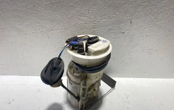 Volkswagen Polo In-tank fuel pump 6Q0919051F A2C53021868