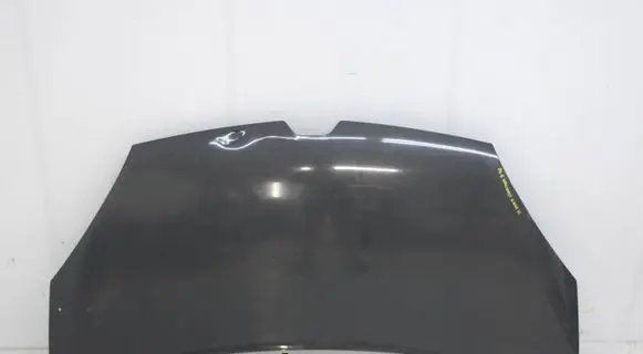 Renault Kangoo II Engine bonnet/hood