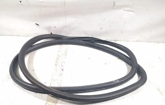Opel Insignia A Front door rubber seal 