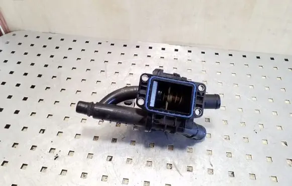 Thermostat/thermostat housing