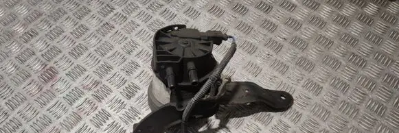 Volvo XC60 Fuel filter 31302682