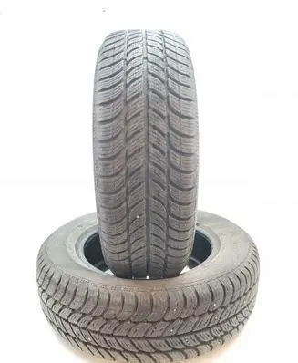 Volkswagen PASSAT B5 R15 winter tire