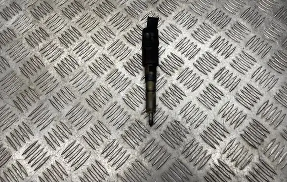 Peugeot 307 Fuel injector 0445110076