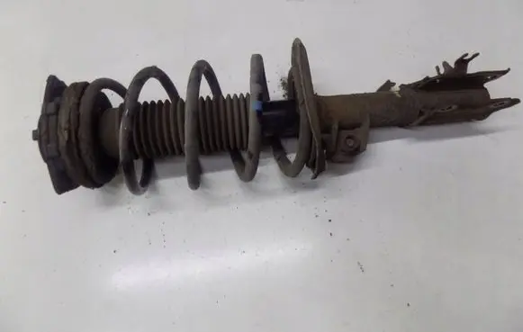 Nissan Qashqai Rear shock absorber with coil spring 32010JD50A