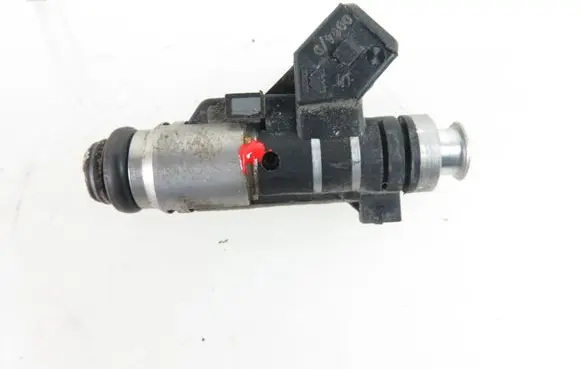 Peugeot 206 Fuel injector 