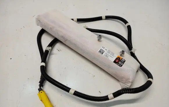 Tesla Model S Steering wheel airbag 1005257-00-D