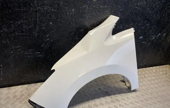 Nissan Leaf II (ZE1) Fender