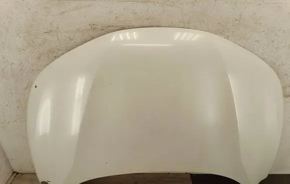 Engine bonnet/hood