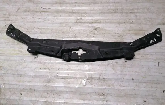 Engine bonnet/hood lock trim molding
