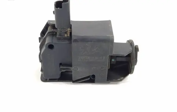 Citroen C4 II Picasso Fuel tank cap lock 9678313180