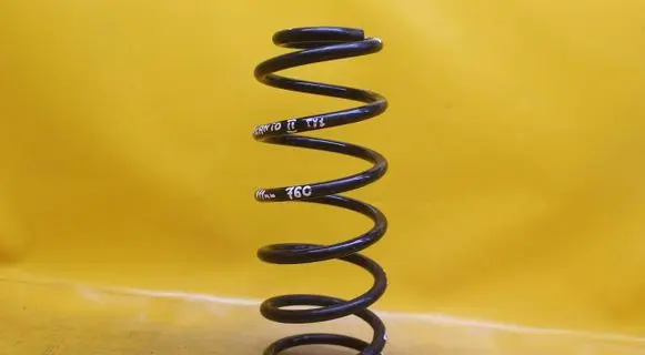 Rear coil spring