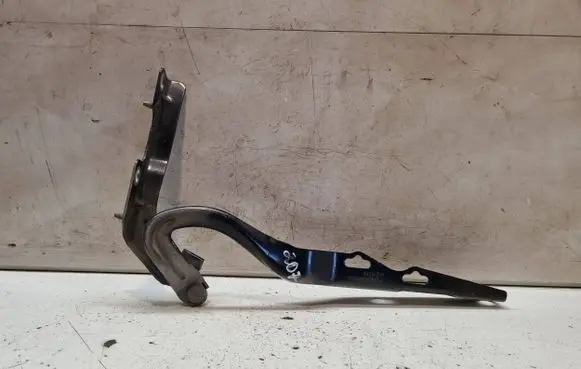 Peugeot 207 Engine bonnet/hood hinges 9650867080