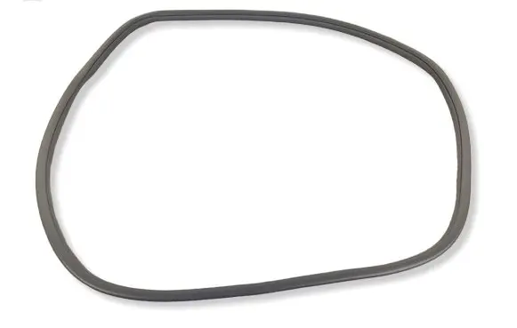 Genesis G70 Front door rubber seal 