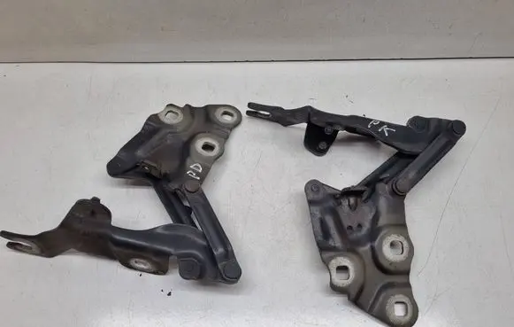 BMW X3 F25 Engine bonnet/hood hinges 7210729