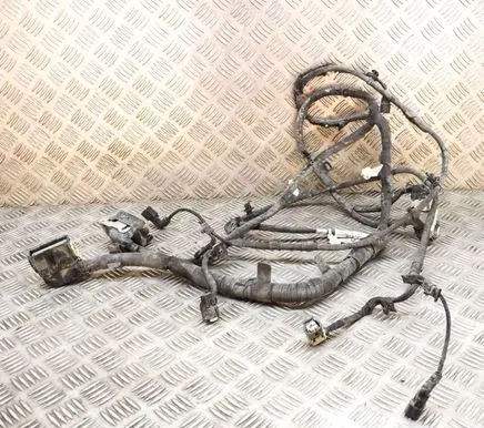 Ford Mustang Mach-E Other wiring loom LJ8T14B599EAE