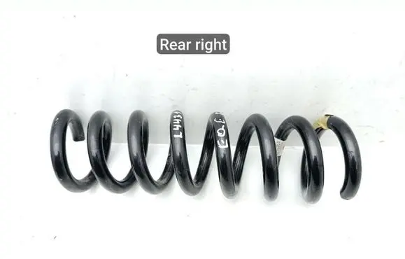 Rear coil spring