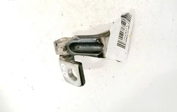 Jaguar X-Type Rear door lower hinge