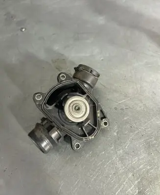 Thermostat/thermostat housing