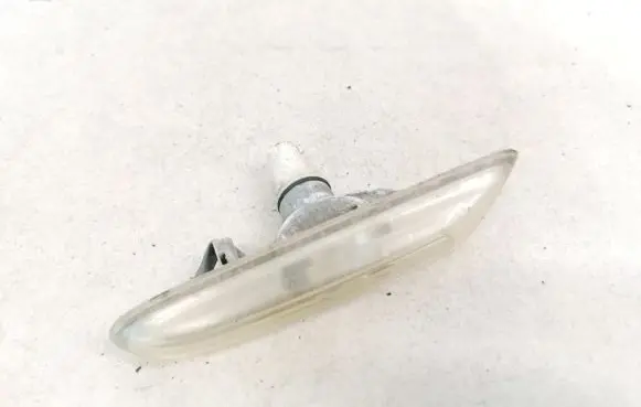 Front fender indicator light