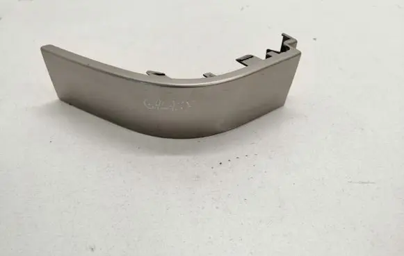 Rear/tail light trim molding