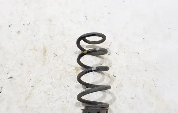 Rear coil spring