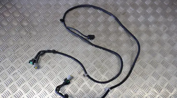 Other wiring loom