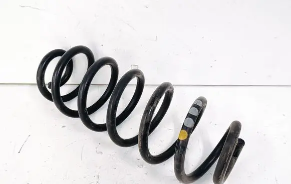 Rear coil spring