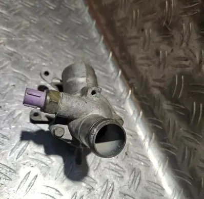 Thermostat/thermostat housing