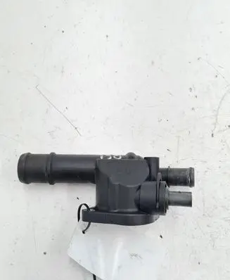 Thermostat/thermostat housing