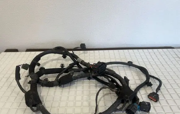 Hyundai Ioniq 5 Parking sensor (PDC) wiring loom 91880GI230