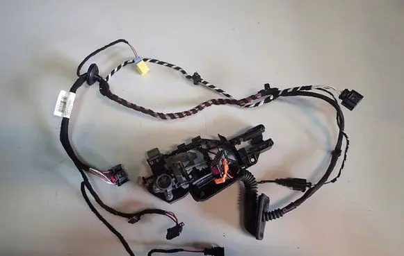 Volkswagen PASSAT CC Front door wiring loom 3C8971120BN