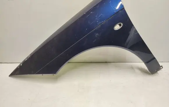 Citroen C6 Fender