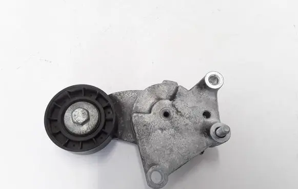 Volvo V60 Timing belt/chain tensioner 846143