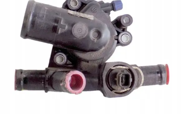 Thermostat/thermostat housing