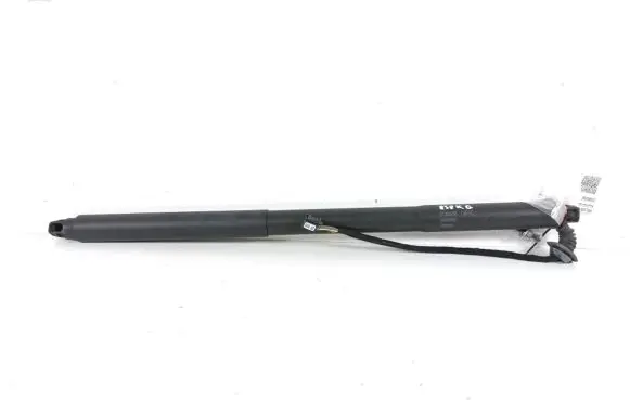Tailgate strut