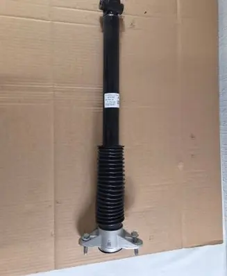 Tesla Model Y Juniper Rear shock absorber/damper 218846820C