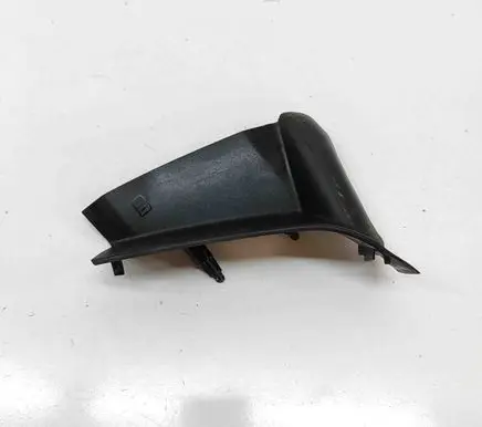 Rear/tail light trim molding