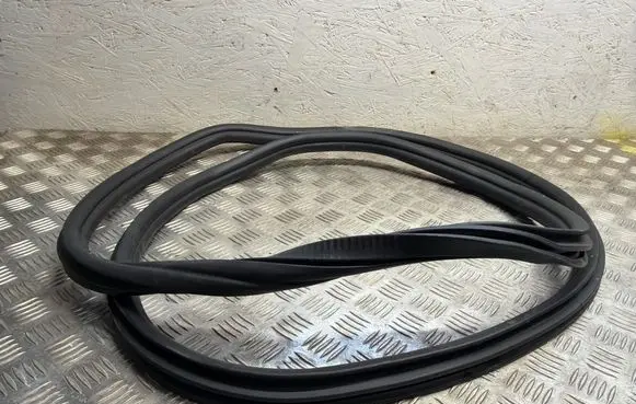 BMW iX Rubber seal rear door 8491416 10874713