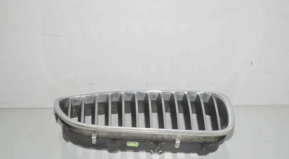 BMW 5 F10 F11 Front grill 51137200728 7203650 51137203650