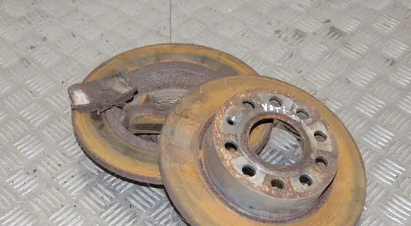 Skoda Yeti (5L) Rear brake disc