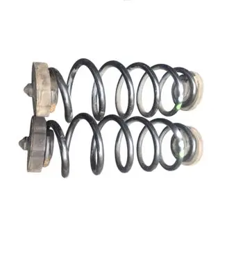 Rear coil spring