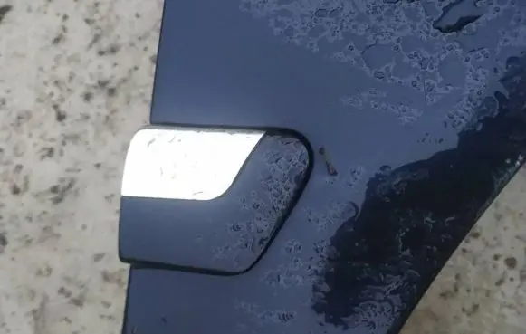 Fender trim (molding)