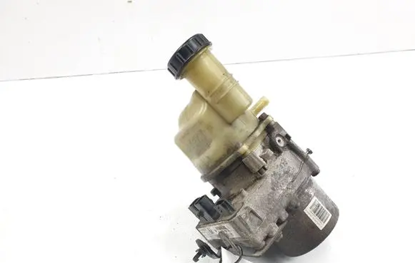 Dacia Dokker Power steering pump 491103919R