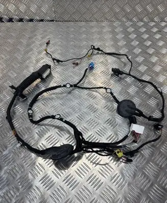 Front door wiring loom