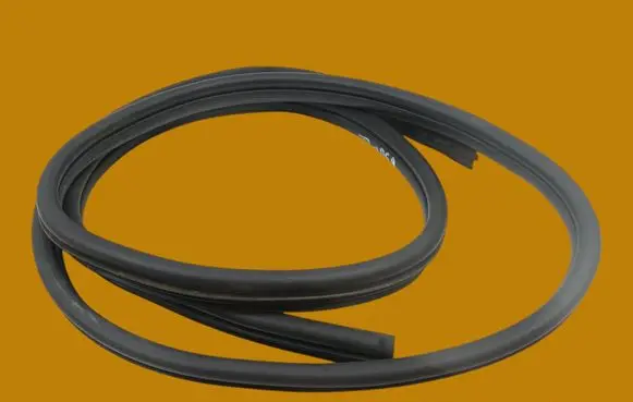 Renault Kangoo II Rubber seal front door (on door) 