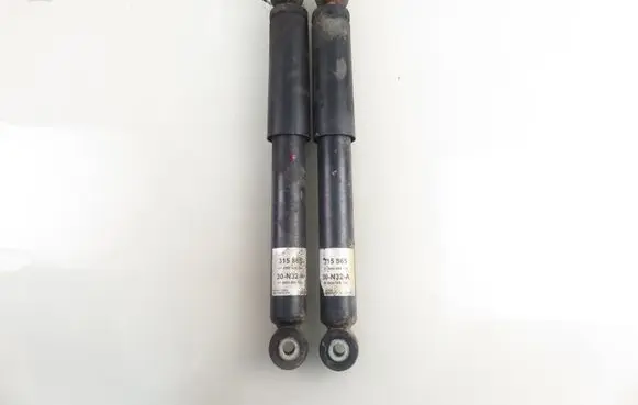 Opel Vivaro Rear shock absorber/damper 315865