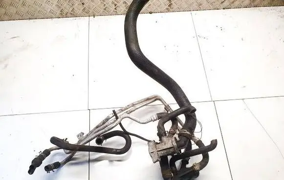 Nissan Almera Tino Engine coolant pipe/hose 24861