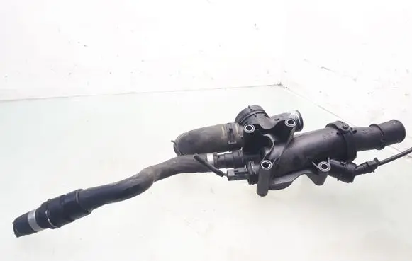 Thermostat/thermostat housing